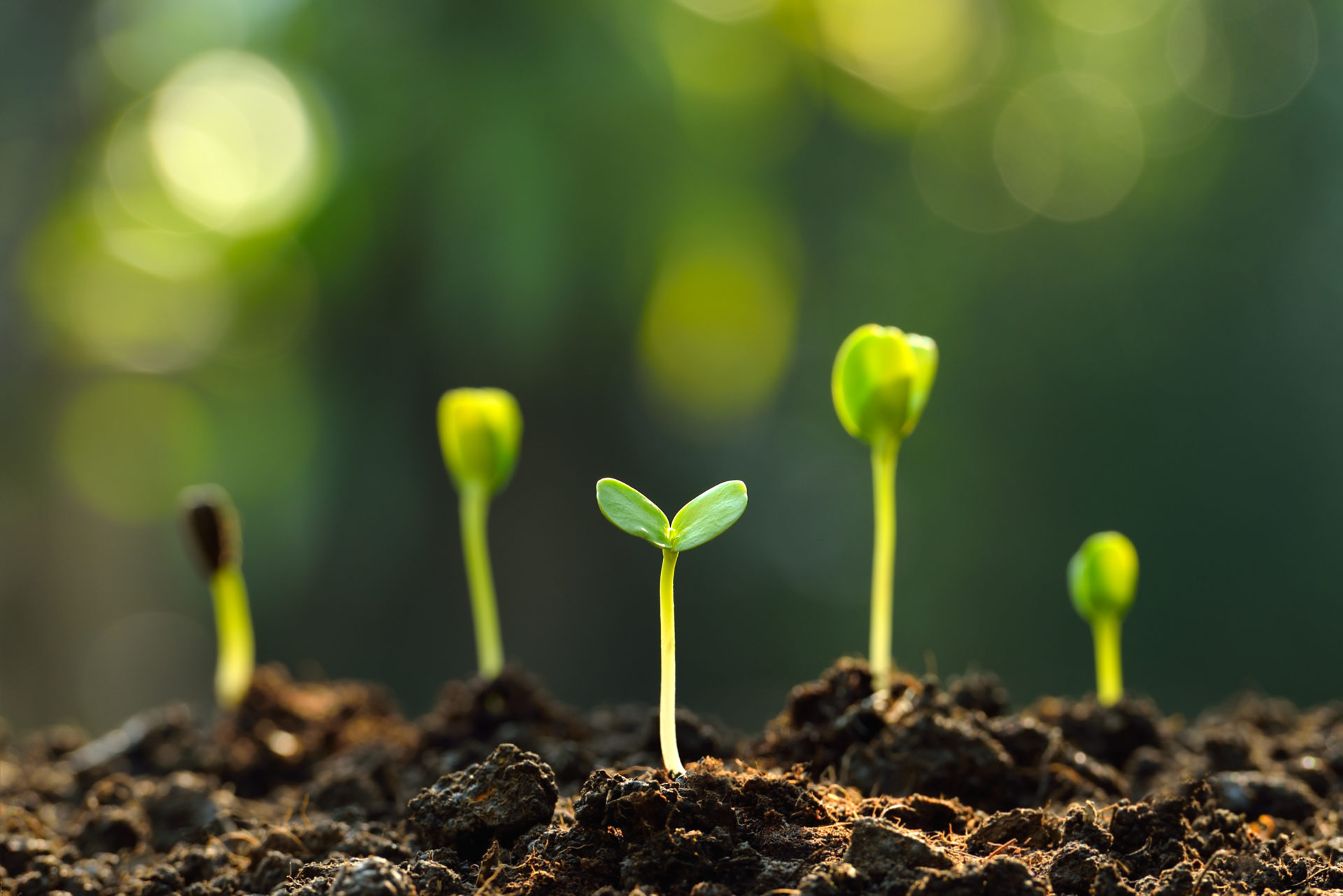 Grants available to help businesses reduce carbon footprint